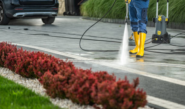 Best Solar Panel Cleaning  in Fritch, TX